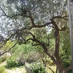 Guest House Jelsa Gæstehus Jelsa (Hvar)